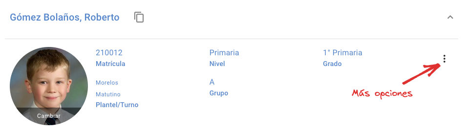 mas_opciones_alumno.png