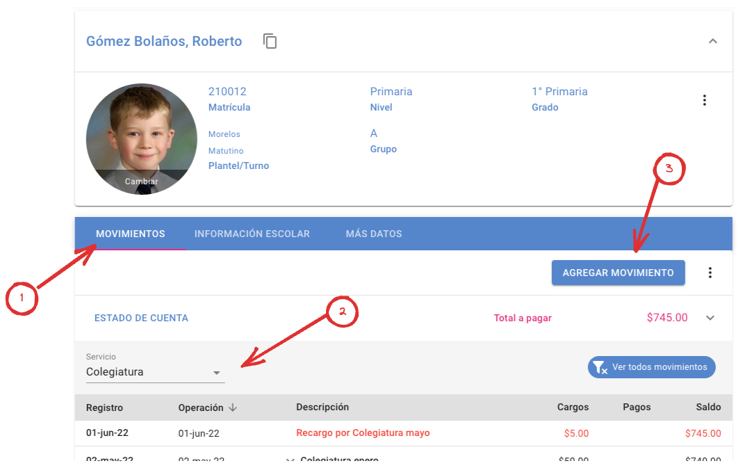 pasos_registrar_movimiento.png