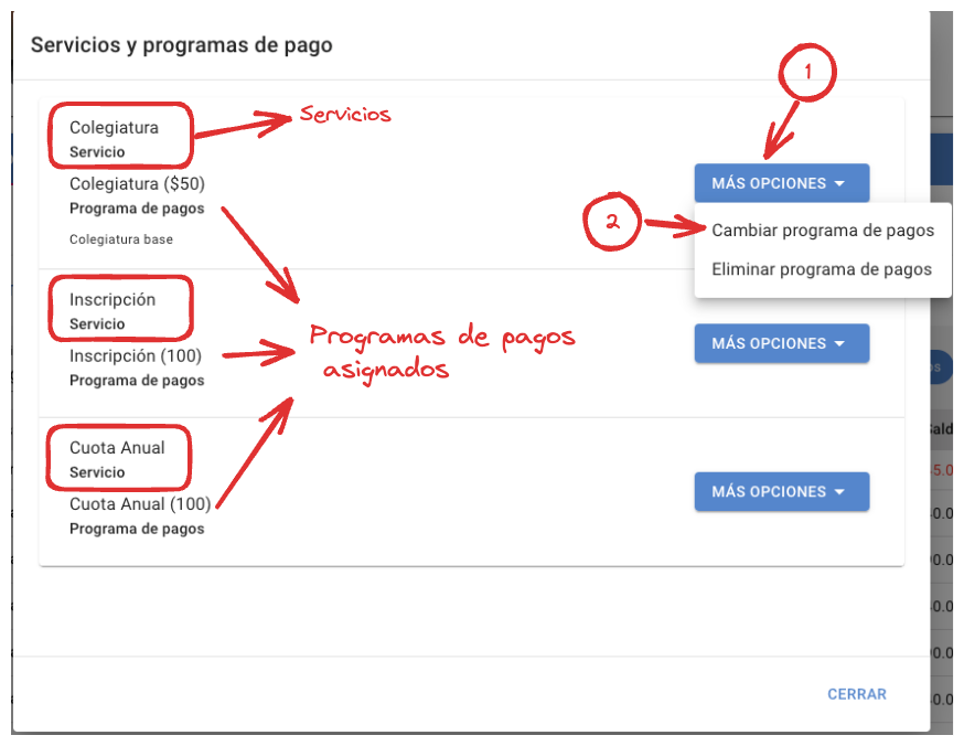 servicios_programas_pago.png
